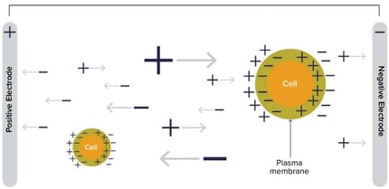 Principe mesure capacitance